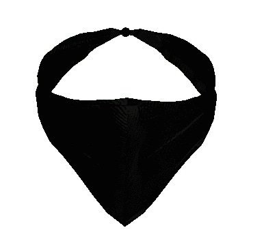 Bandana Black