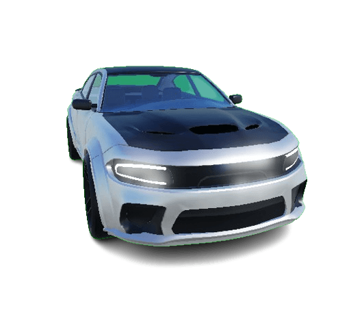Muscle B