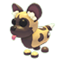 African Wild Dog