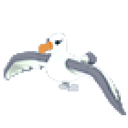 Albatross