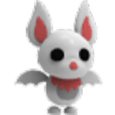 Albino Bat