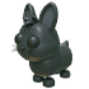 Amami Rabbit