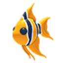 Angelfish