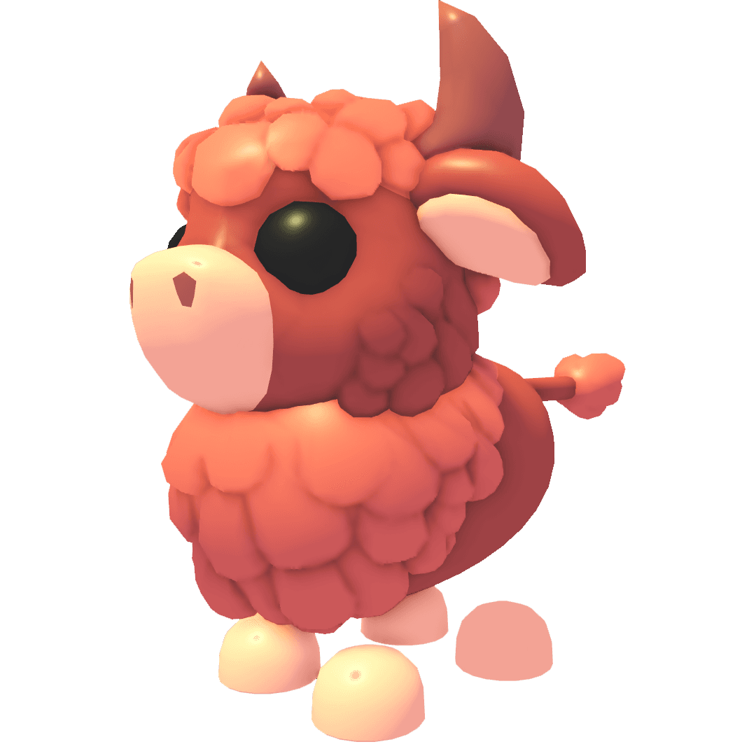 Angus Bull