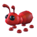 Ant