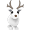 Arctic Reindeer