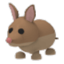 Bandicoot