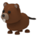 Beaver