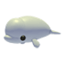 Beluga Whale