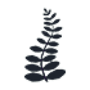 Black Fern