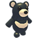 Black Moon Bear