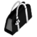 Black Purse