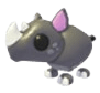 Black Rhino