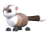 Black-Footed Ferret