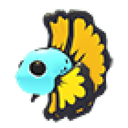 Blue Betta Fish
