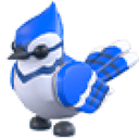 Blue Jay