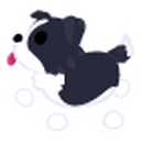 Border Collie Sticker