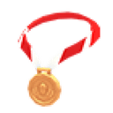 Bronze Medal