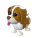 Brown Springer Spaniel