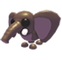 Bush Elephant