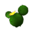 Cactus Balloon