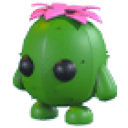 Cactus Friend