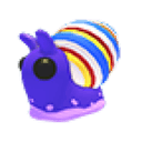Candy Cane Snail