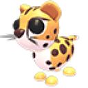Cheetah