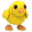 Chick