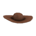 Cowboy Hat