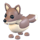 Coyote