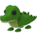 Crocodile