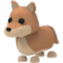 Dingo