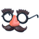 Disguise Glasses