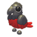 Dracula Parrot