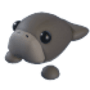 Dugong