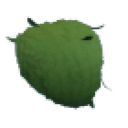 Eco Green Leaf Afro