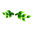 Eco Green Vine Mustache