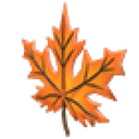 Eco Orange Maple Headpiece
