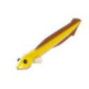 Eel