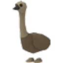 Emu