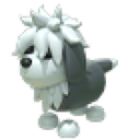 English Sheepdog