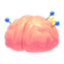 Exposed Brain