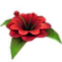 Forgotten Flower