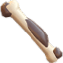 Fossil