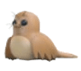 Galapagos Sea Lion
