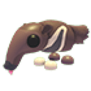 Giant Anteater