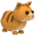 Ginger Cat