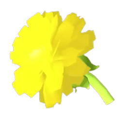 Golden Dandelion