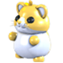 Golden Hamster